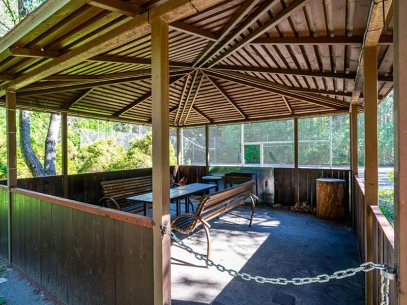 Архитектура здоровья