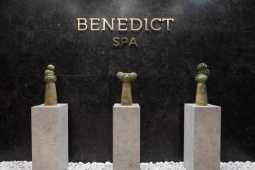 Отель Benedict Hotel&Spa Россия, Зеленоград, фото 10