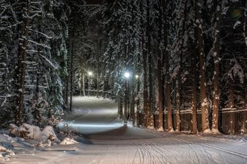 Отель Спорт отель Пересвет Россия, Сергиев Посад, фото 5