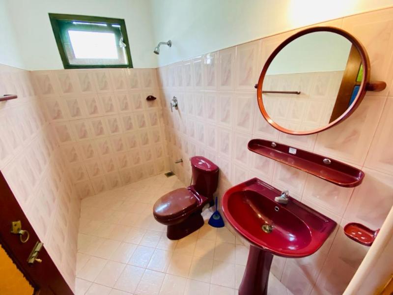 Dandelion Guest House