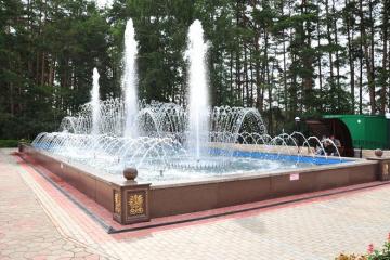 Отель Ромашкино Санаторий (Бухарай) Россия, , фото 21