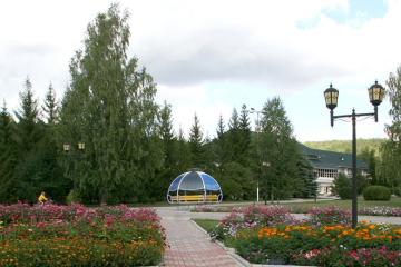 Отель Ромашкино Санаторий (Бухарай) Россия, , фото 6