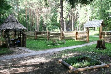 Отель Ромашкино Санаторий (Бухарай) Россия, , фото 9
