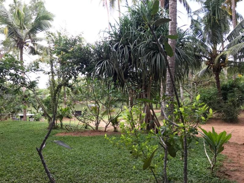 O2 Villas - Weligama