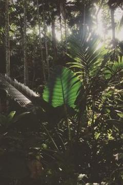 Отель Kaju Green Eco Lodge Шри-Ланка, Унаватуна, фото 21