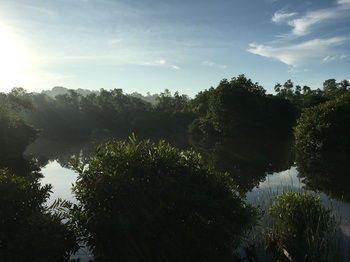 Kaju Green Eco Lodge