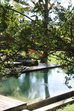 Отель Kaju Green Eco Lodge Шри-Ланка, Унаватуна, фото 41