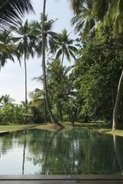 Отель Kaju Green Eco Lodge Шри-Ланка, Унаватуна, фото 44