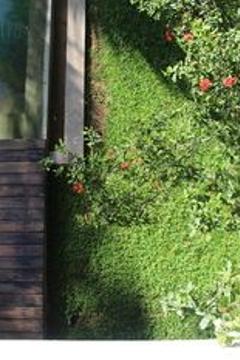 Отель Kaju Green Eco Lodge Шри-Ланка, Унаватуна, фото 48