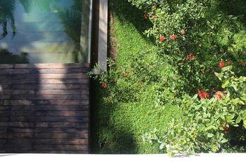 Kaju Green Eco Lodge