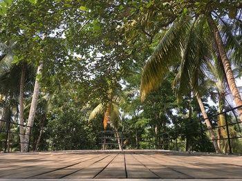 Kaju Green Eco Lodge