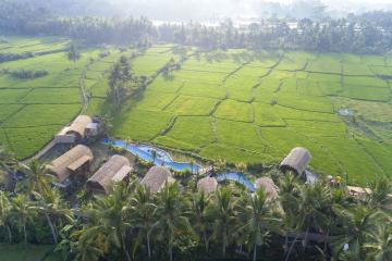Отель Beehouse Dijiwa Ubud Индонезия, о Бали, фото 1