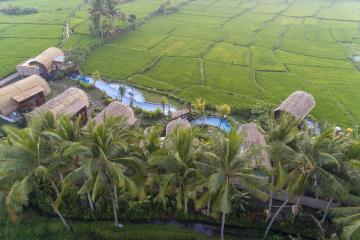 Отель Beehouse Dijiwa Ubud Индонезия, о Бали, фото 2