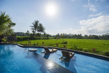 Отель Beehouse Dijiwa Ubud Индонезия, о Бали, фото 29