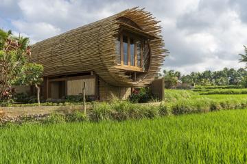 Отель Beehouse Dijiwa Ubud Индонезия, о Бали, фото 42