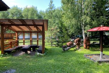 Отель Золотая рыбка (Иогач) Россия, Республика Алтай, фото 6