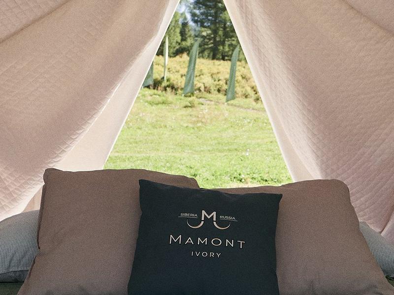 Mamont Camp (Усть-Кокса)
