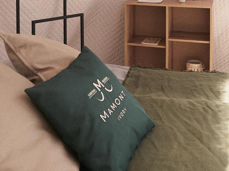 Mamont Camp (Усть-Кокса)