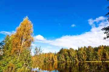Отель База отдыха Чуньки (Большое Вороново) Россия, Кондопога, фото 22