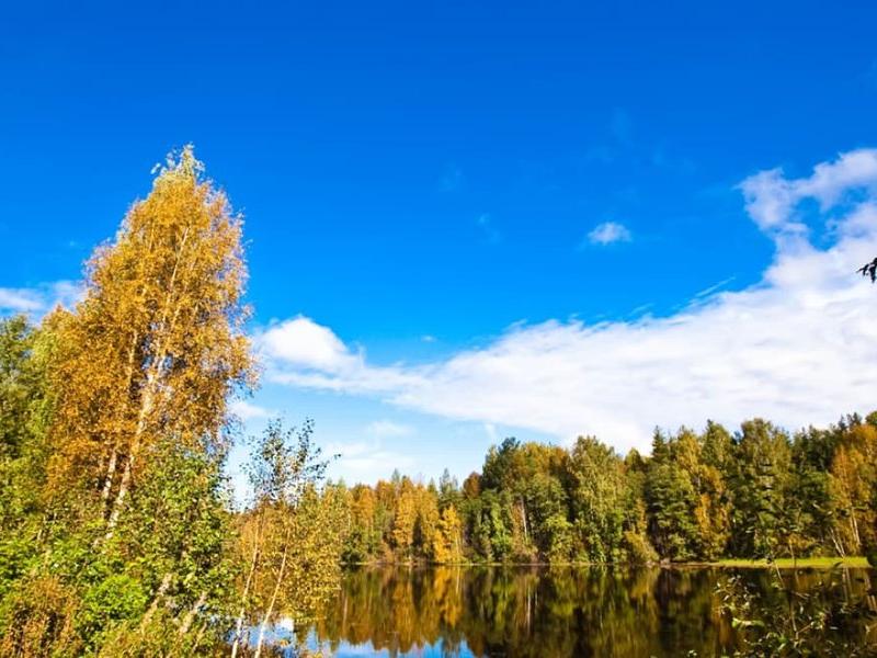 База отдыха Чуньки (Большое Вороново)