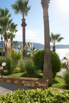 Отель TUI Magic Life Bodrum Турция, Бодрум, фото 45