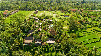 Отель Blue Karma Dijiwa Ubud Индонезия, о Бали, фото 1