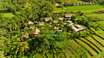 Отель Blue Karma Dijiwa Ubud Индонезия, о Бали, фото 18