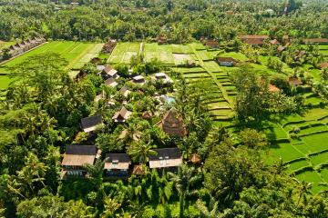 Отель Blue Karma Dijiwa Ubud Индонезия, о Бали, фото 2