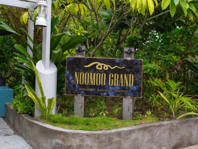 Noomoo Grand