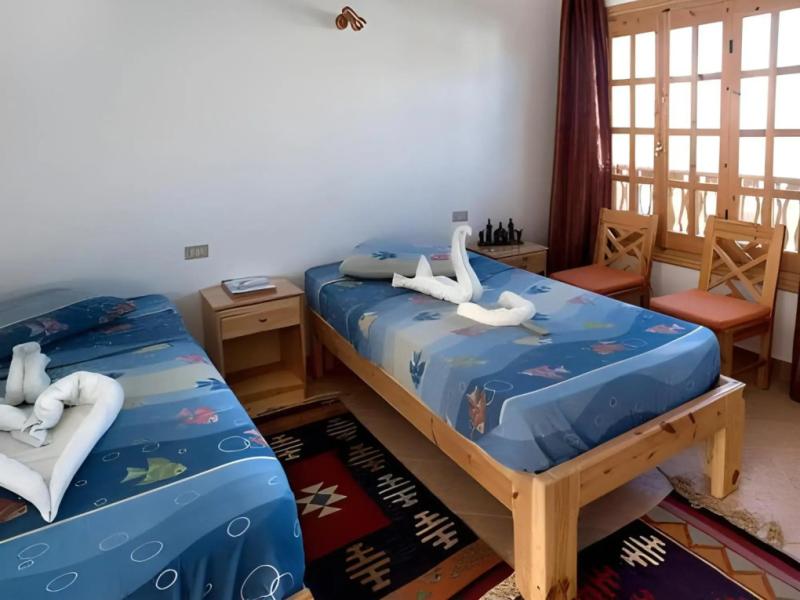 Star Of Dahab