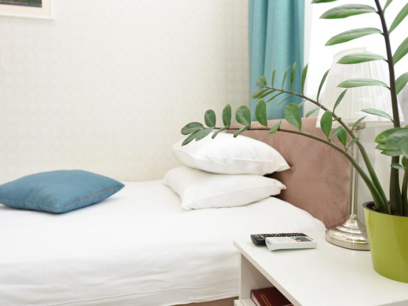 Golden Horn Bay View