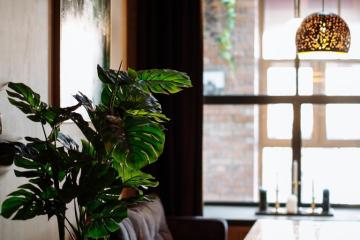 Отель Mina Arbat Россия, Владивосток, фото 14