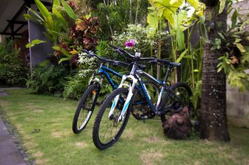 Отель Natya Hotel Tanah Lot Индонезия, о Бали, фото 82