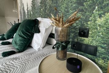 Отель DzenDome Россия, Горная Шория (Шерегеш), фото 12