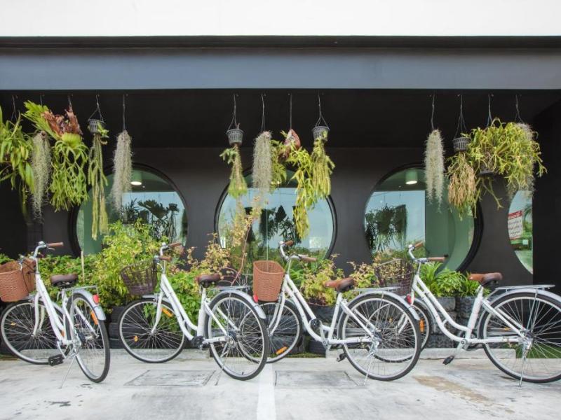 Blu Monkey Hub & Hotel