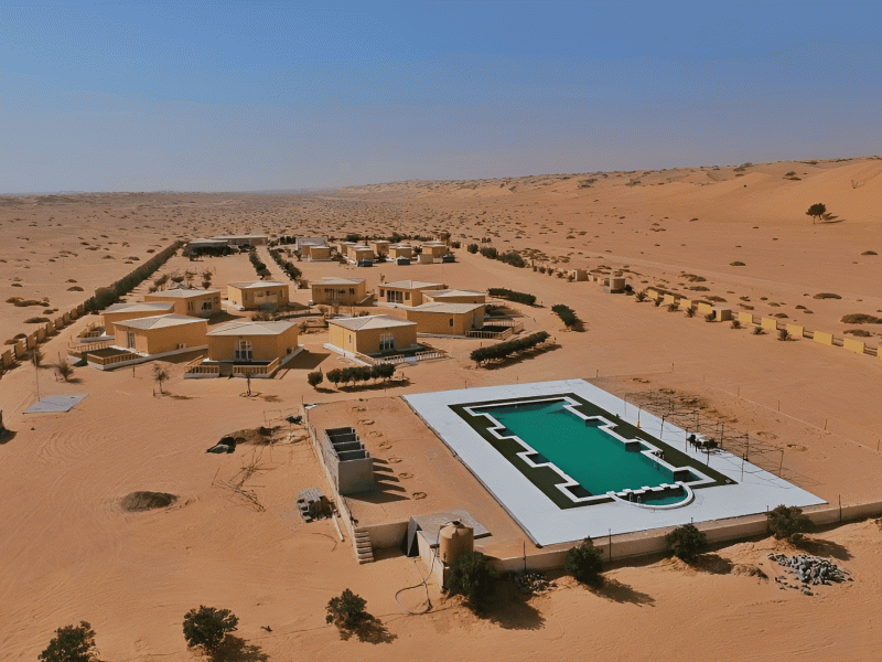 Golden Palm Oasis