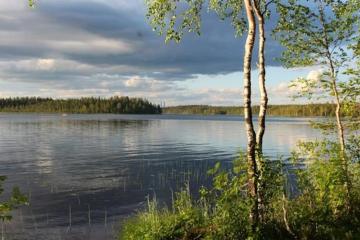 Отель ГК Подкова (Костомукша) Россия, Карелия, фото 10