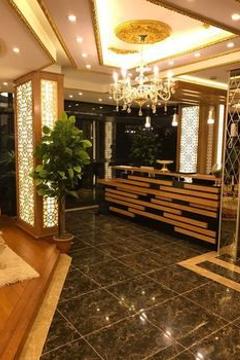 Отель Golden Dream Otel Турция, Стамбул, фото 21