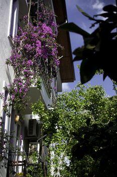 Hideaway Hotel