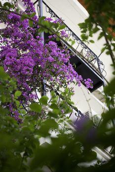 Hideaway Hotel