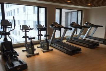 Отель Hampton by Hilton Guangzhou Zhujiang New Town Китай, Гуанчжоу, фото 15