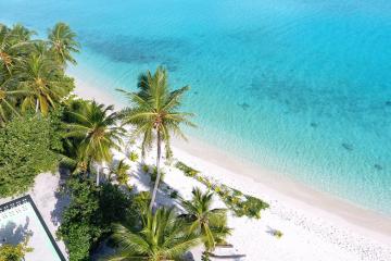 Отель Luau Beach Inn, Maldives Мальдивы, , фото 12