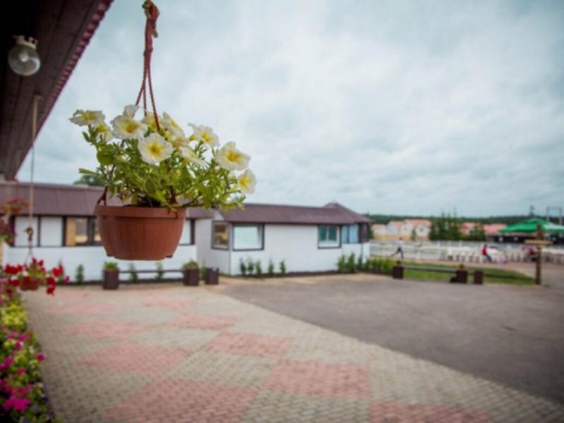 База отдыха Park Hotel Сойкино