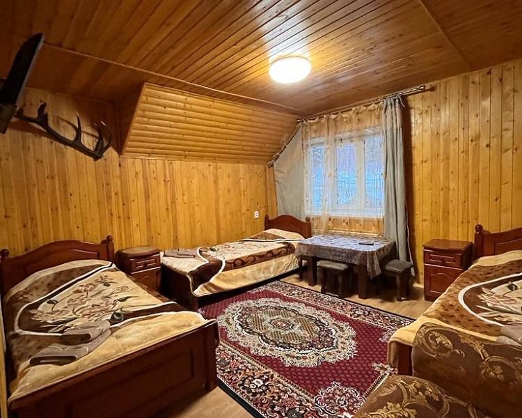 Золотой Мустанг