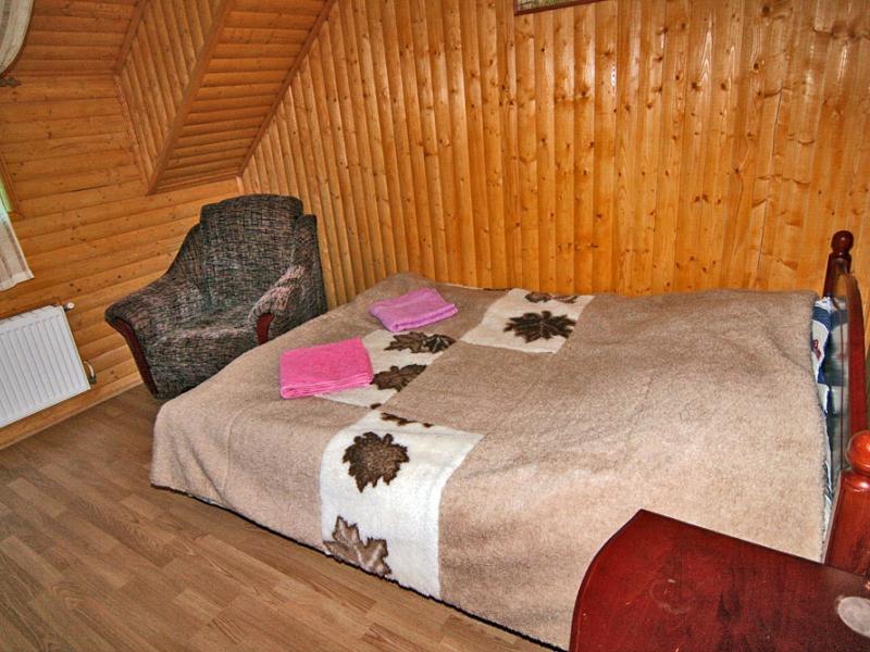 Золотой Мустанг