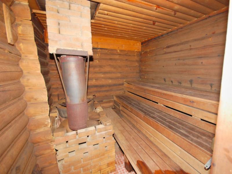 Золотой Мустанг