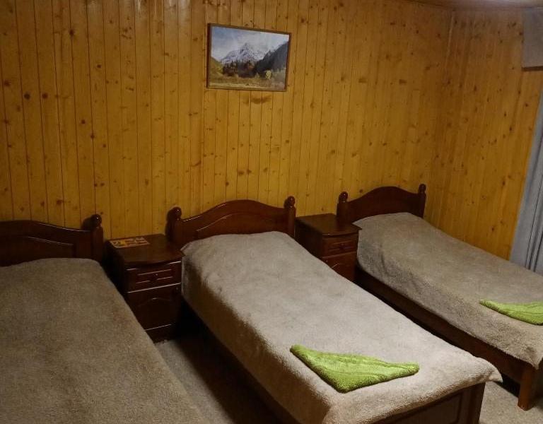 Золотой Мустанг