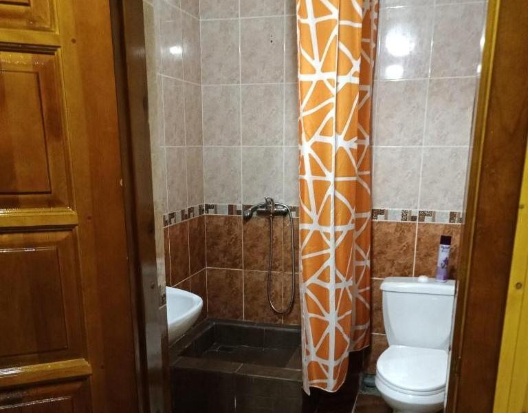 Золотой Мустанг