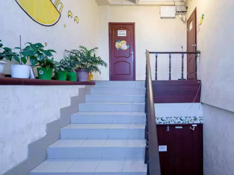 Лимон на Лужской