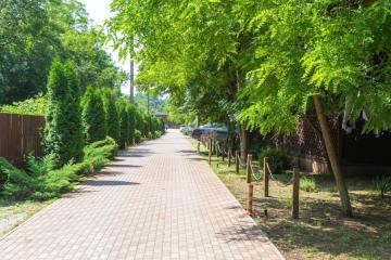 Отель Парк-Отель Поляна (Дивноморское) Россия, Геленджик, фото 15